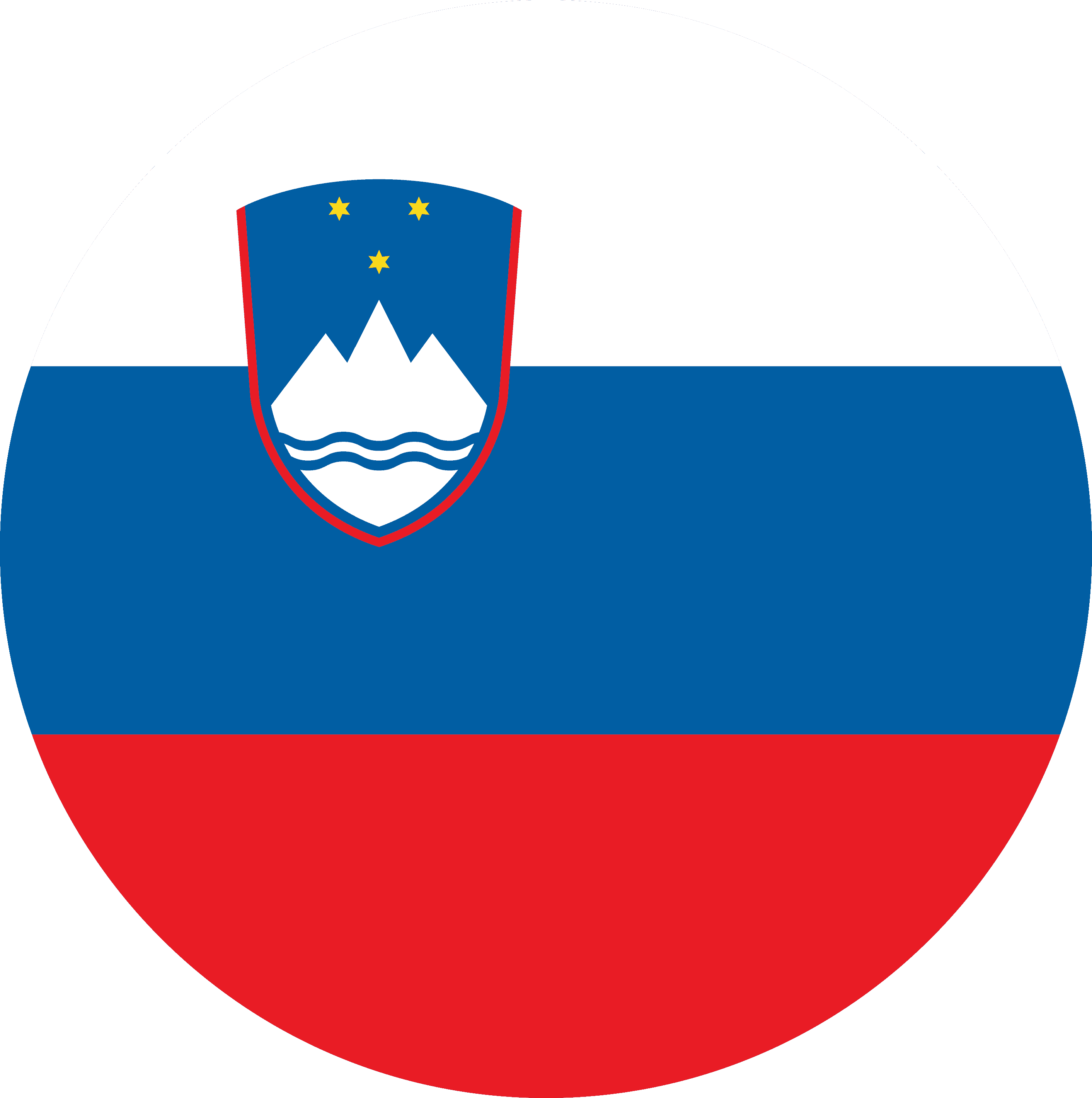 26378370_546_slovenia_bubble.png