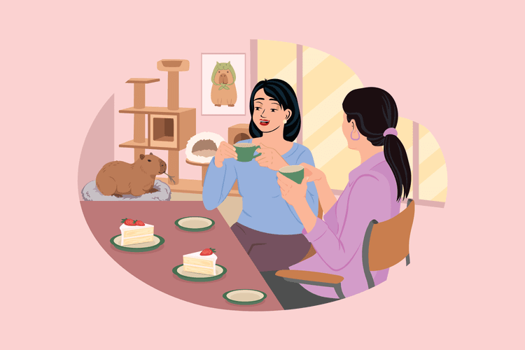 Basic Japanese Phrases