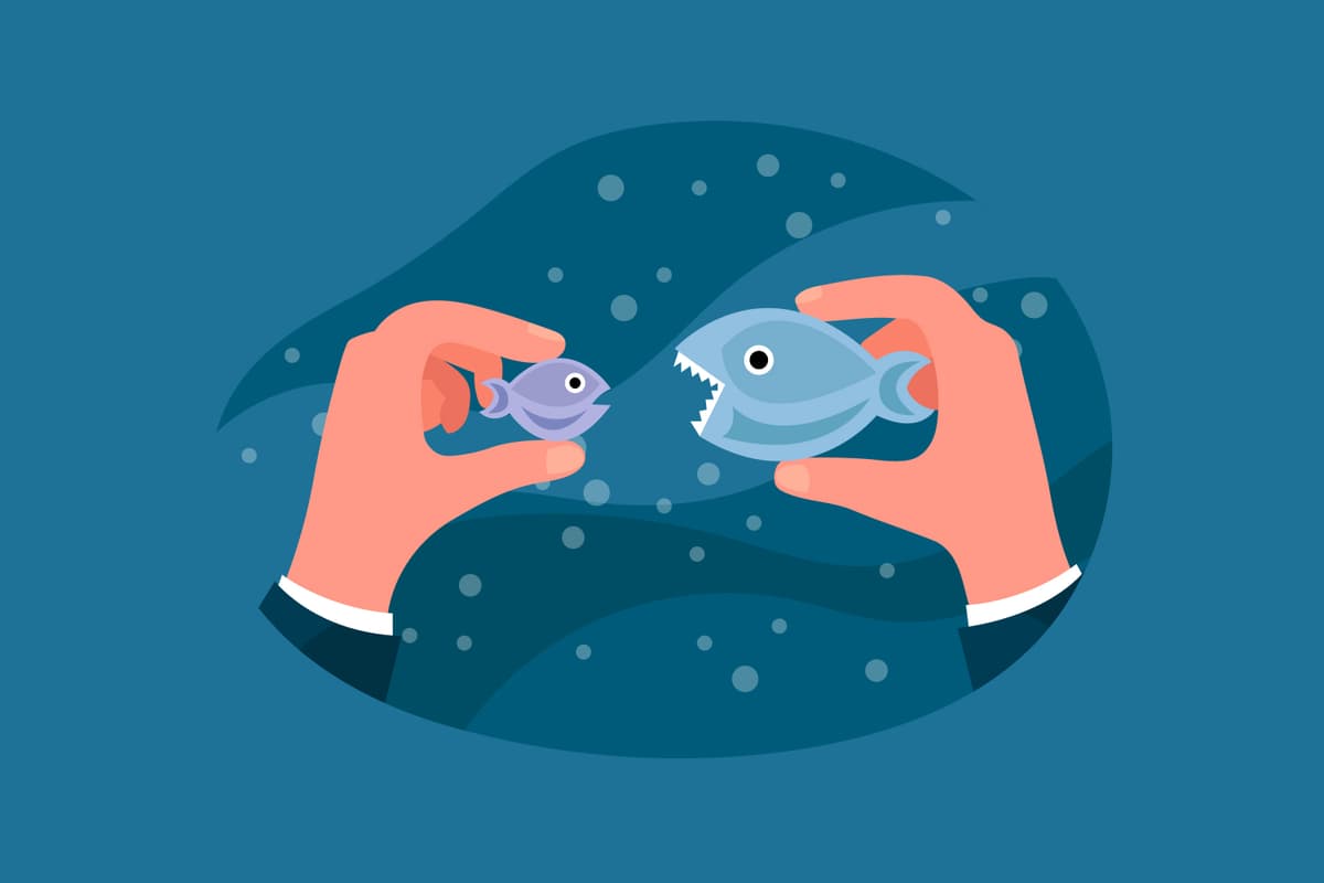 Aventure aquatique : Types de poissons en anglais | Promova Blog