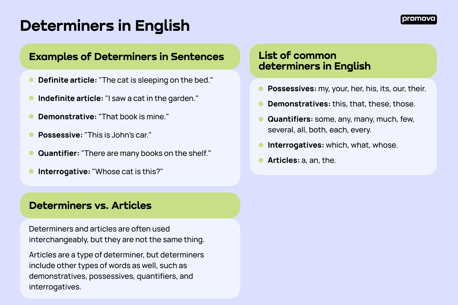 Examples of Determiners in Sentences