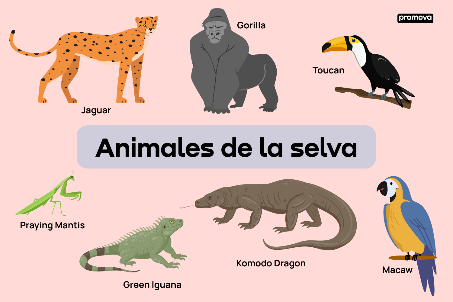 Explora el mundo salvaje: Guía de vocabulario de animales de la selva