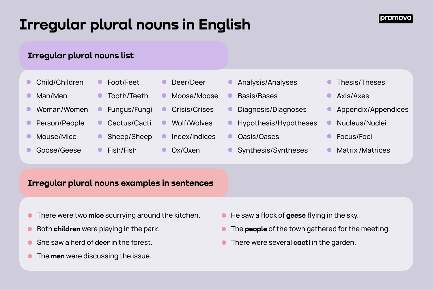 Irregular plural nouns list