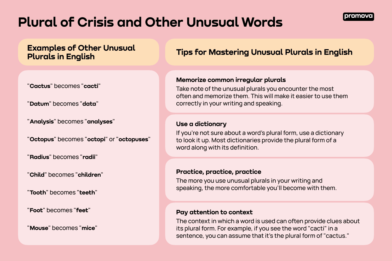 Tips for Mastering Unusual Plurals in English