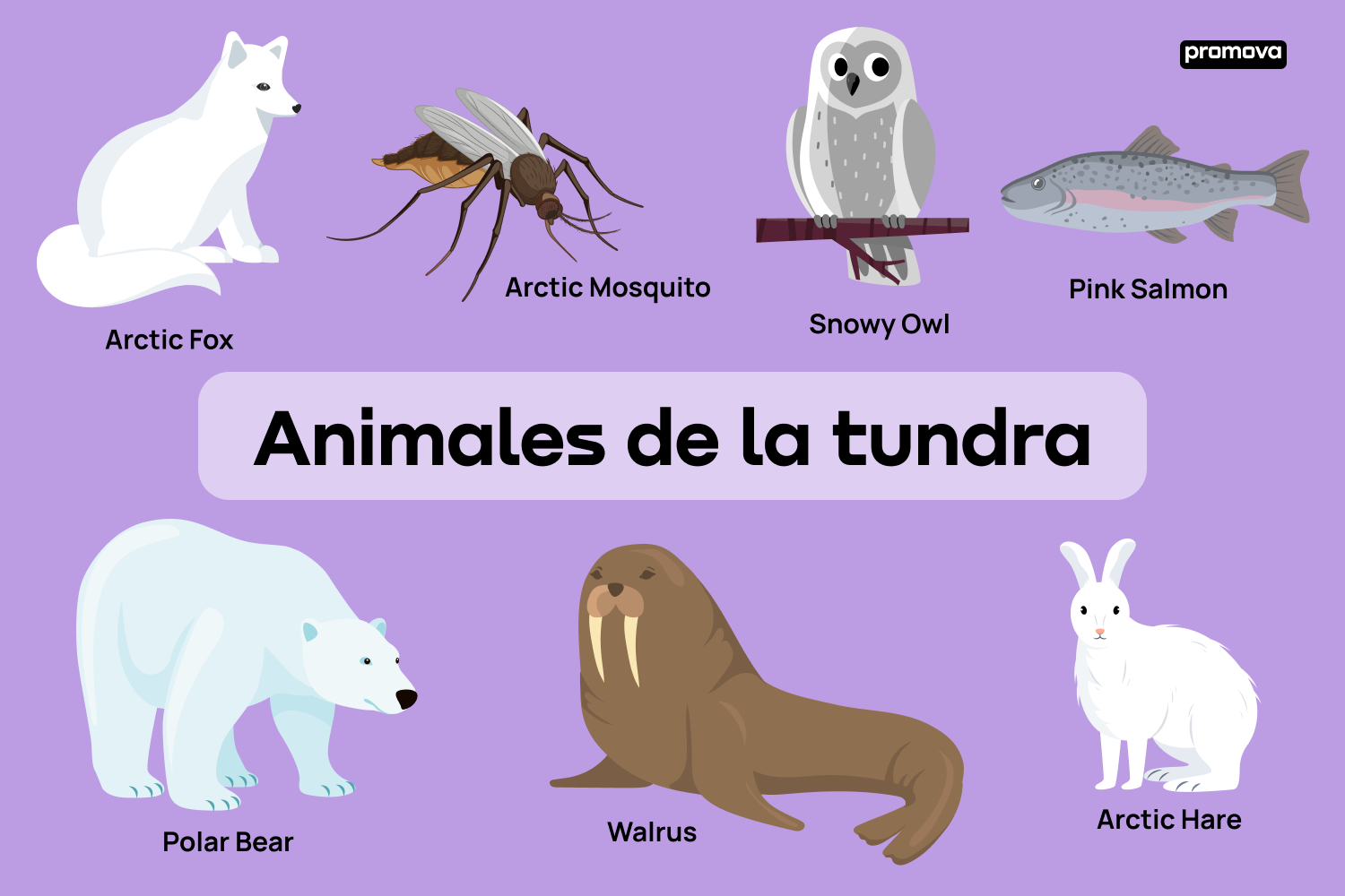 Vocabulario sobre animales de la tundra: Guía esencial en inglés