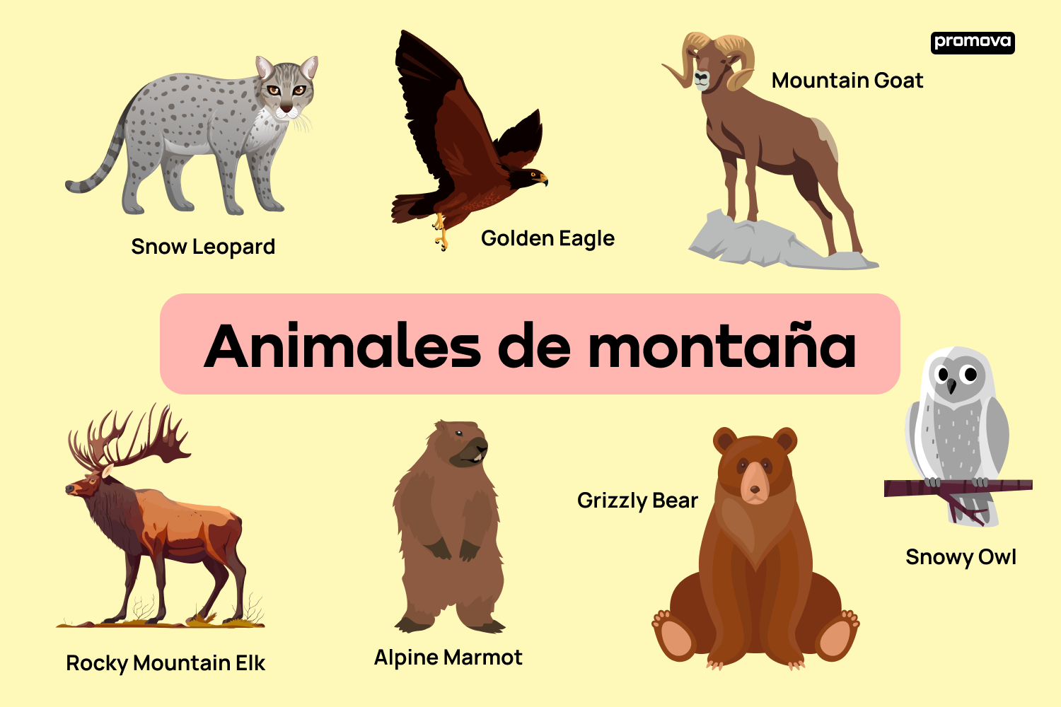 Aprende sobre los animales de montaña con esta guía detallada