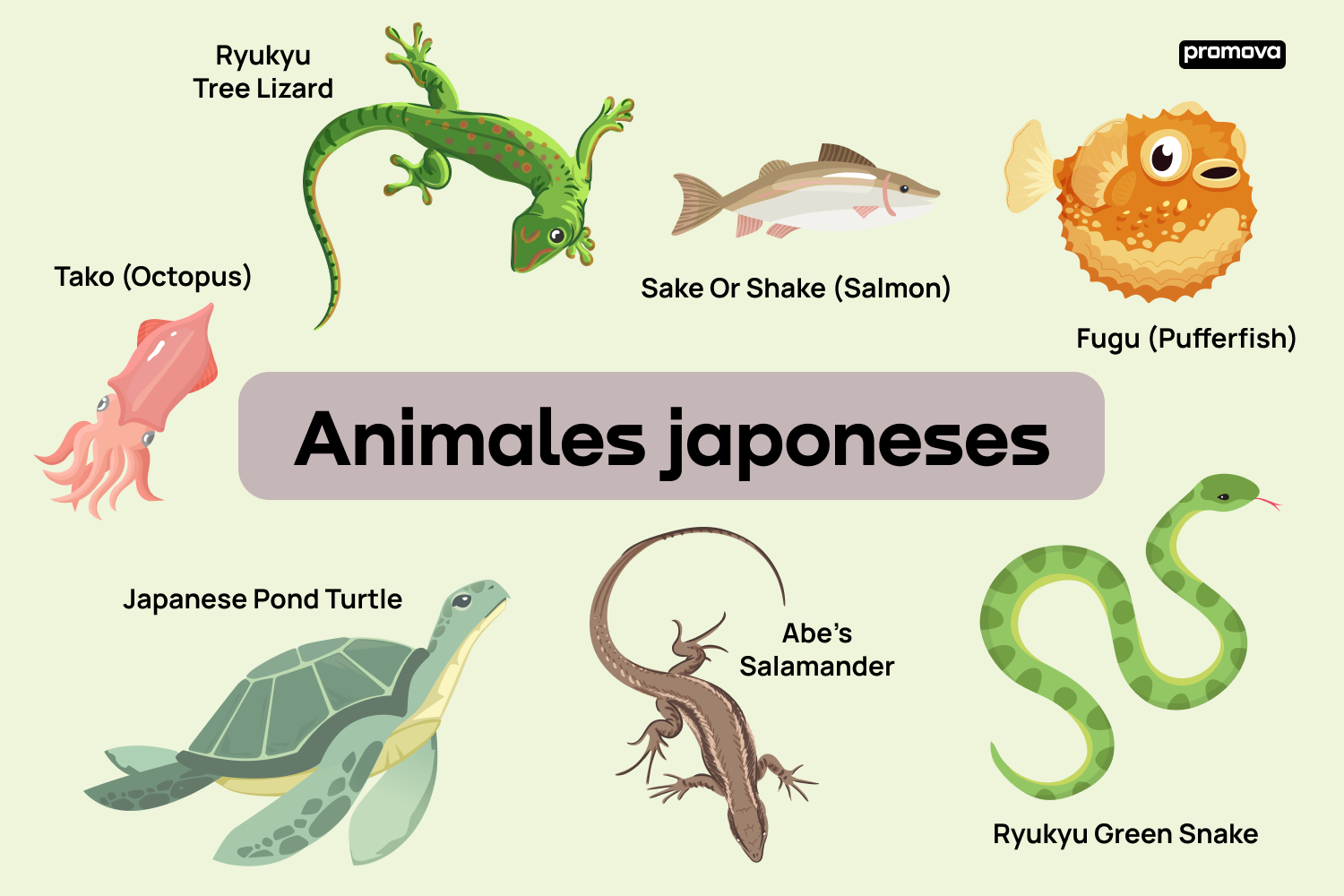 Explorando el vocabulario de animales japoneses en inglés