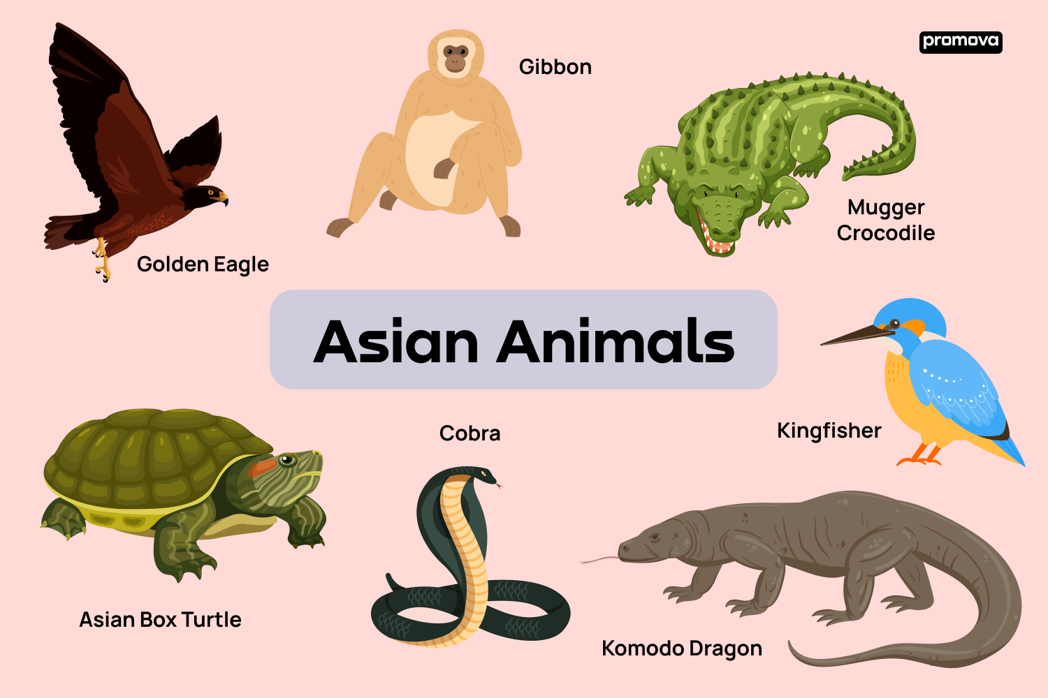 Explore Different Types of Asian Animals Vocabulary in English.
