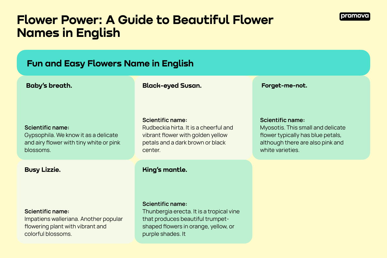 Beautiful Flower Names in English