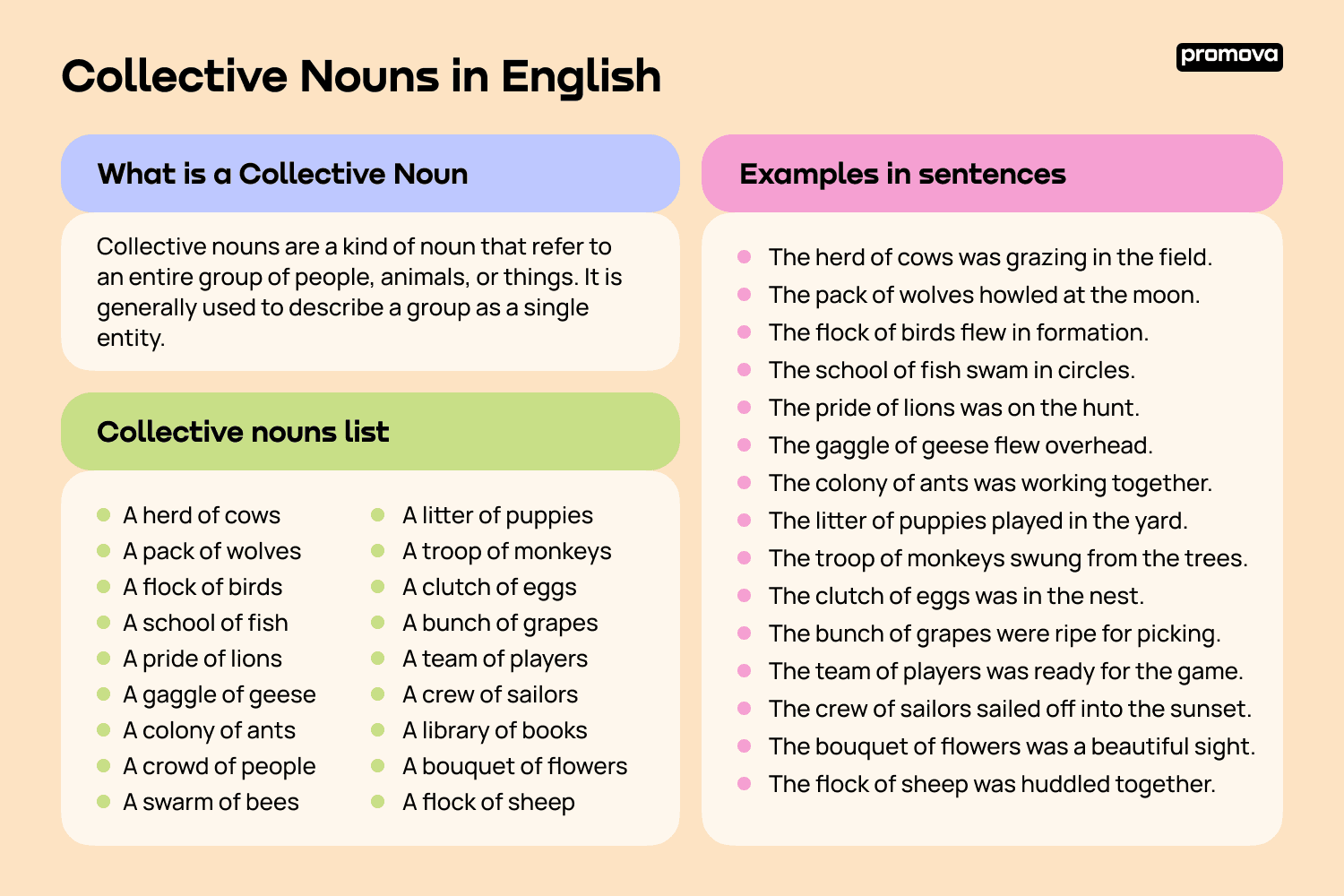 Collective Noun Questions For Class 5