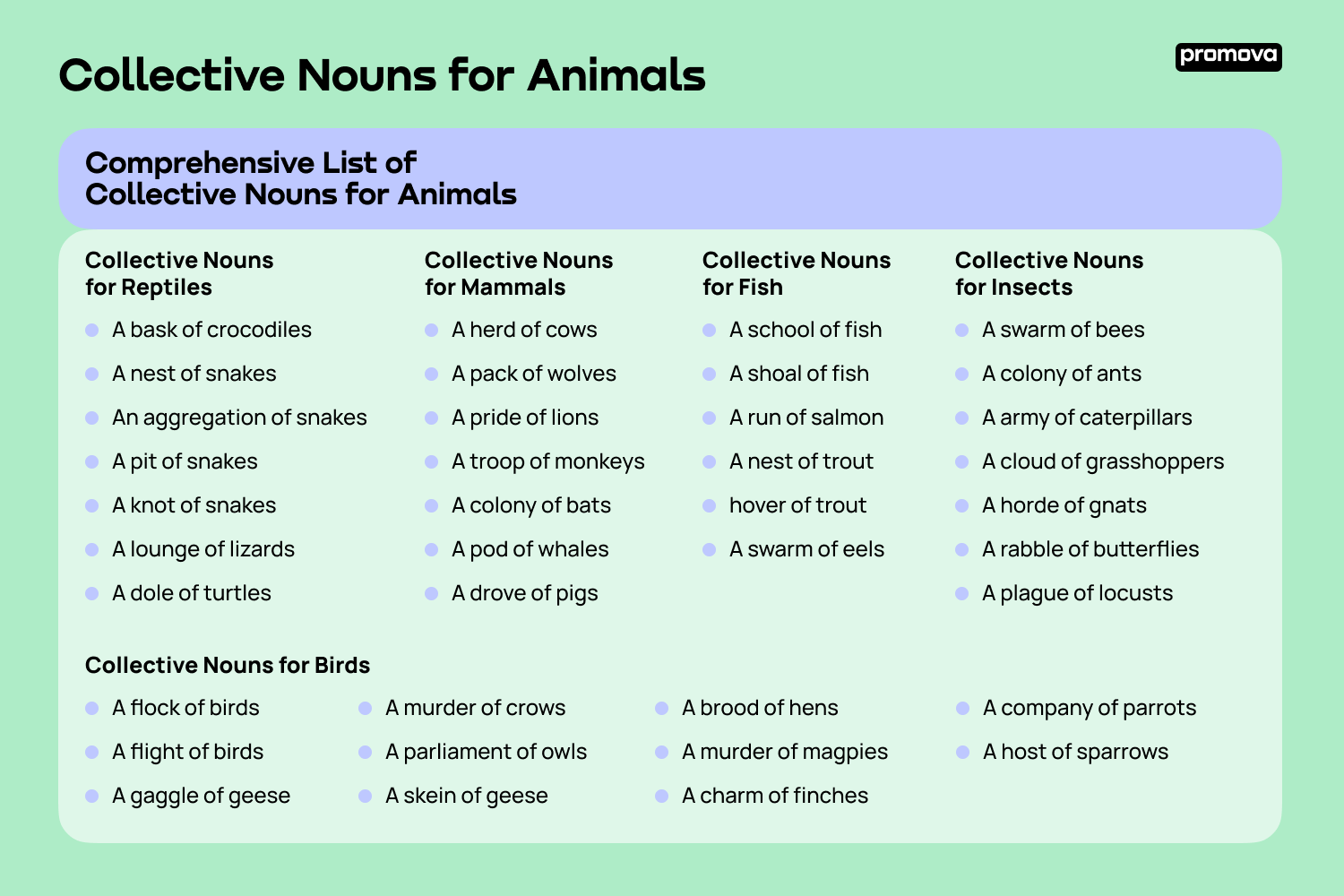 Comprehensive Guide of Collective Nouns for Animals