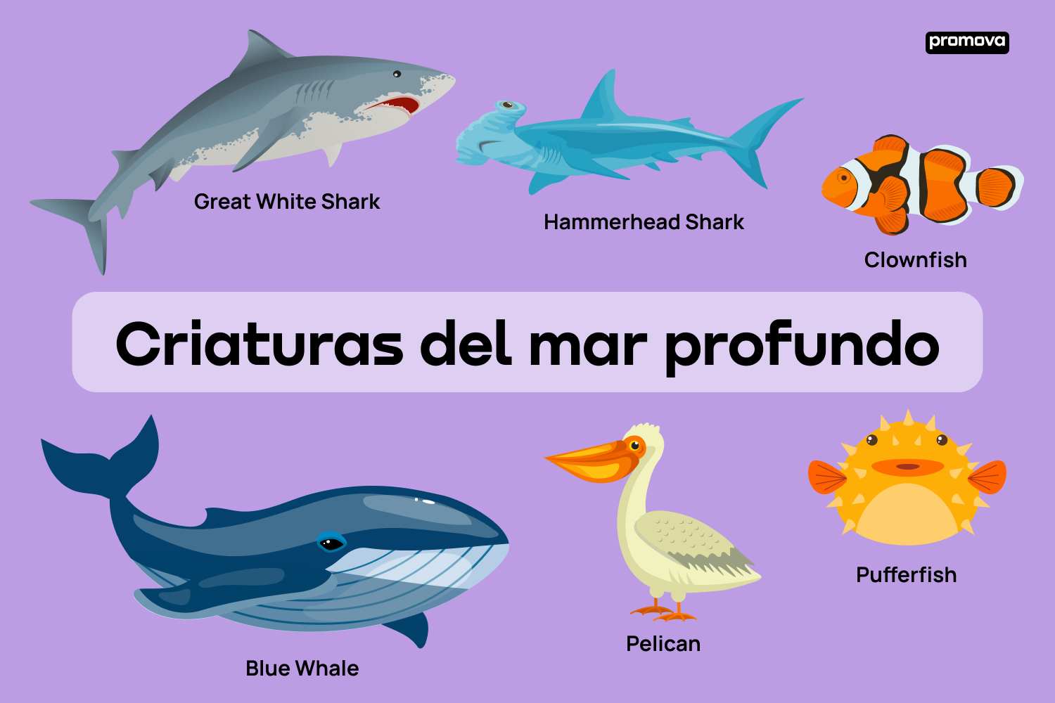Sumérgete en un fascinante vocabulario de criaturas marinas en inglés