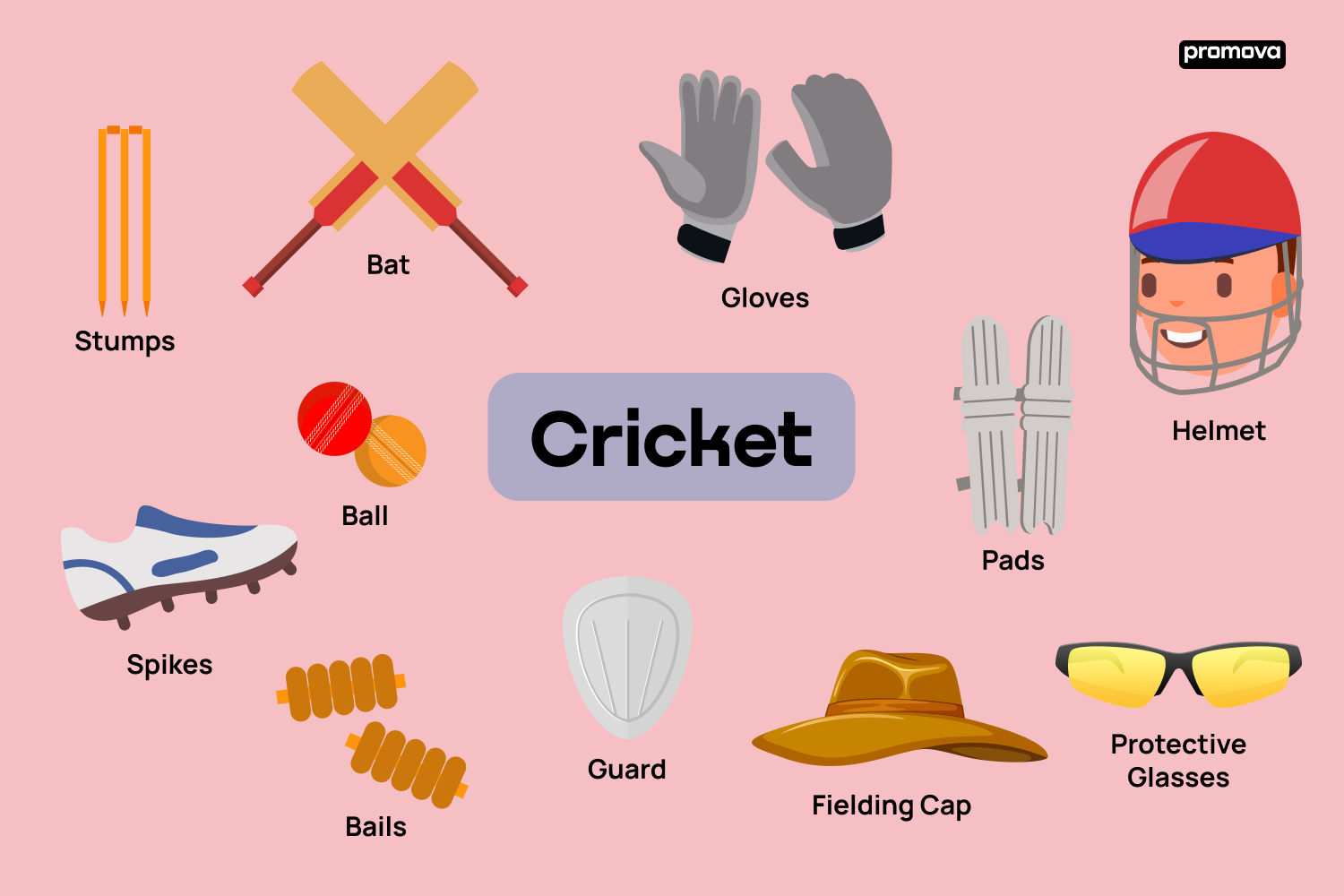 Descubre el vocabulario del deporte de cricket en inglés