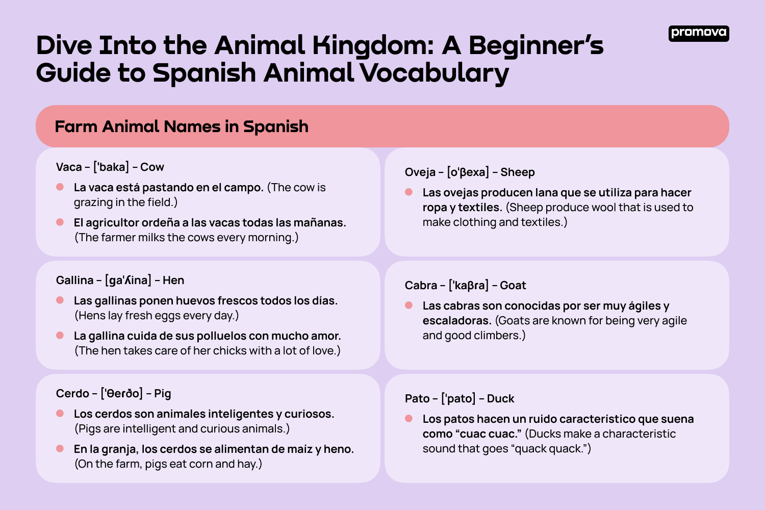 Discover Spanish Animal Vocabulary