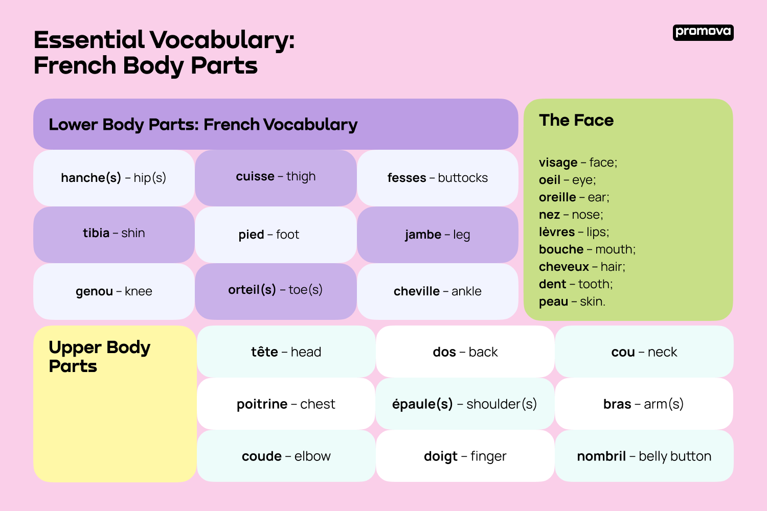 French Body Parts