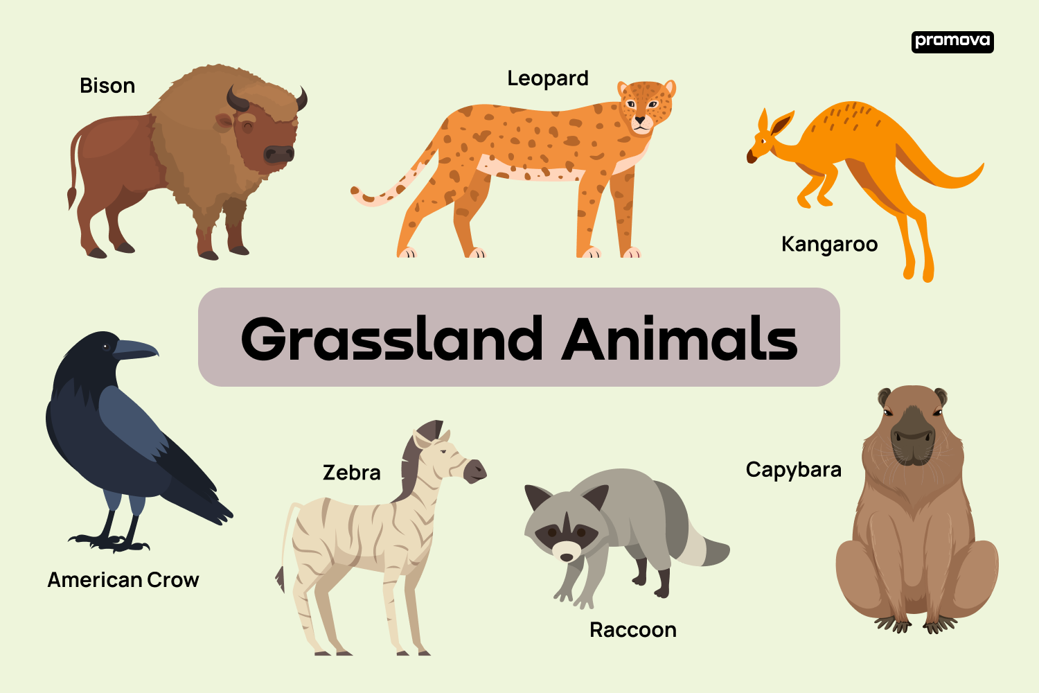 Discover Grassland Animal Vocabulary and Terms in English.