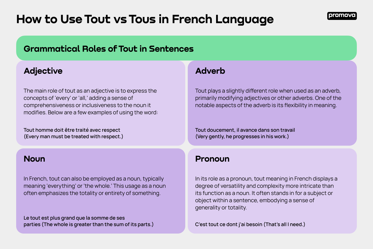 How to Use Tout vs Tous in French Language