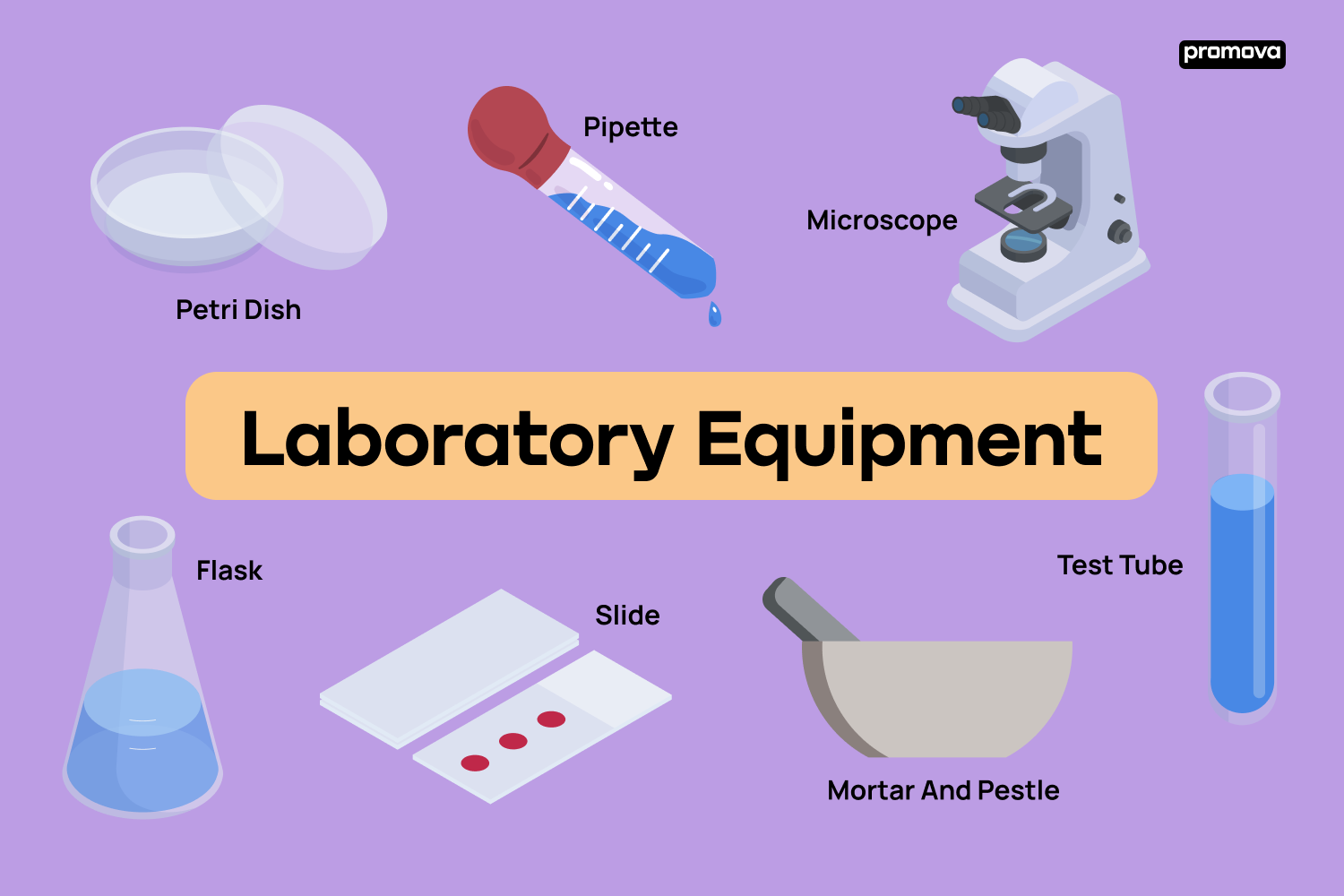 Unlocking the World of Science: Laboratory Equipment Vocabulary Guide