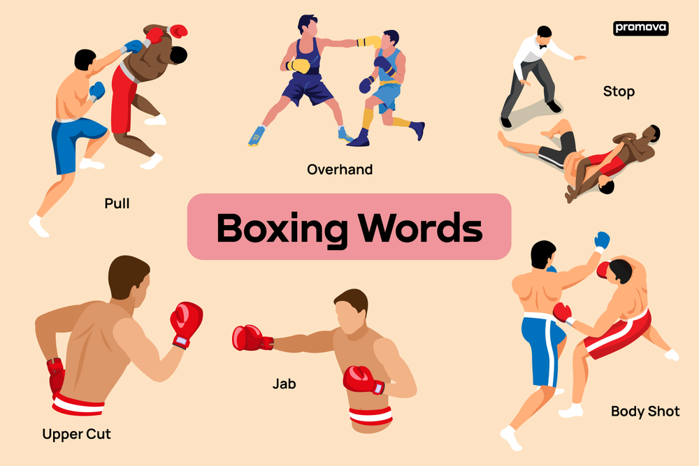 https://promova.com/content/large_boxing_words_d378deb508.png