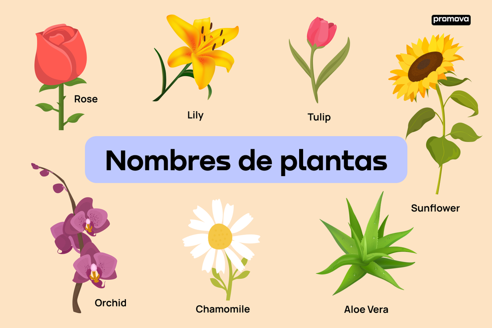 clases de arboles y sus nombres