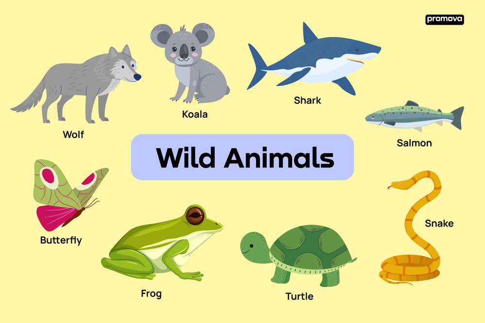 Wild Animal Names - Explore the List of 100 Wild Animals in English