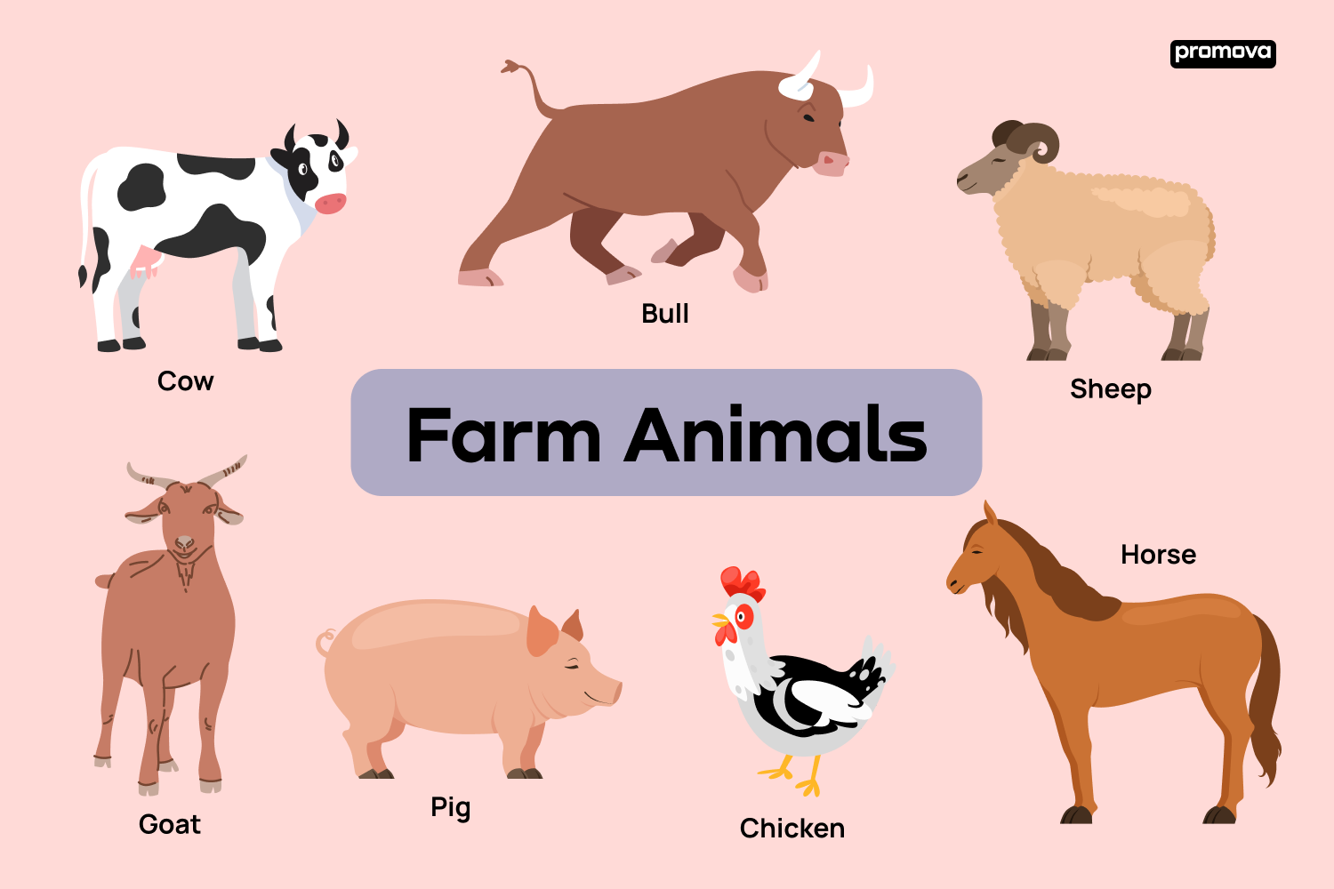 List Of Farm Animals And Their Names