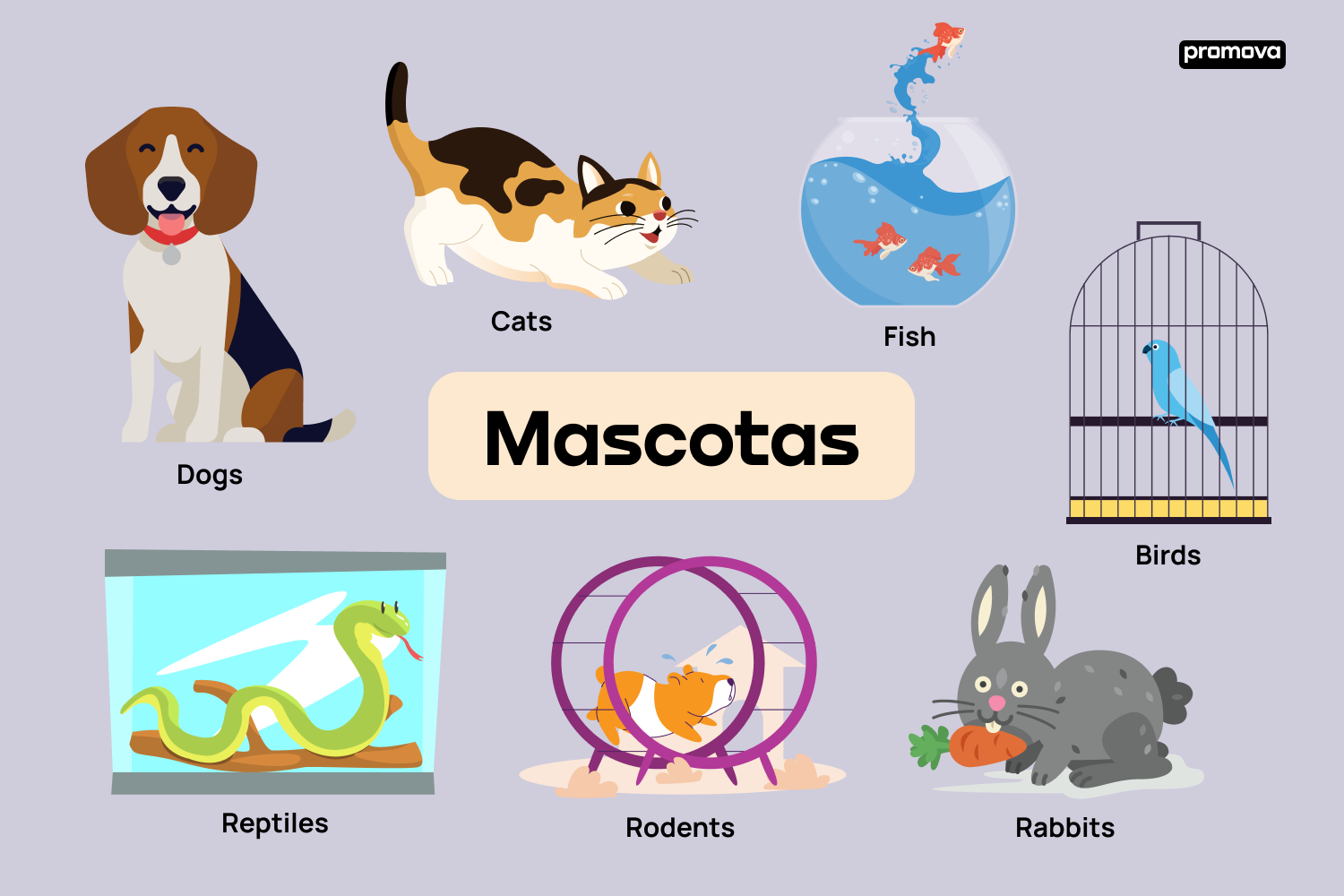 Todo lo que necesitas saber sobre el vocabulario en inglés de mascotas