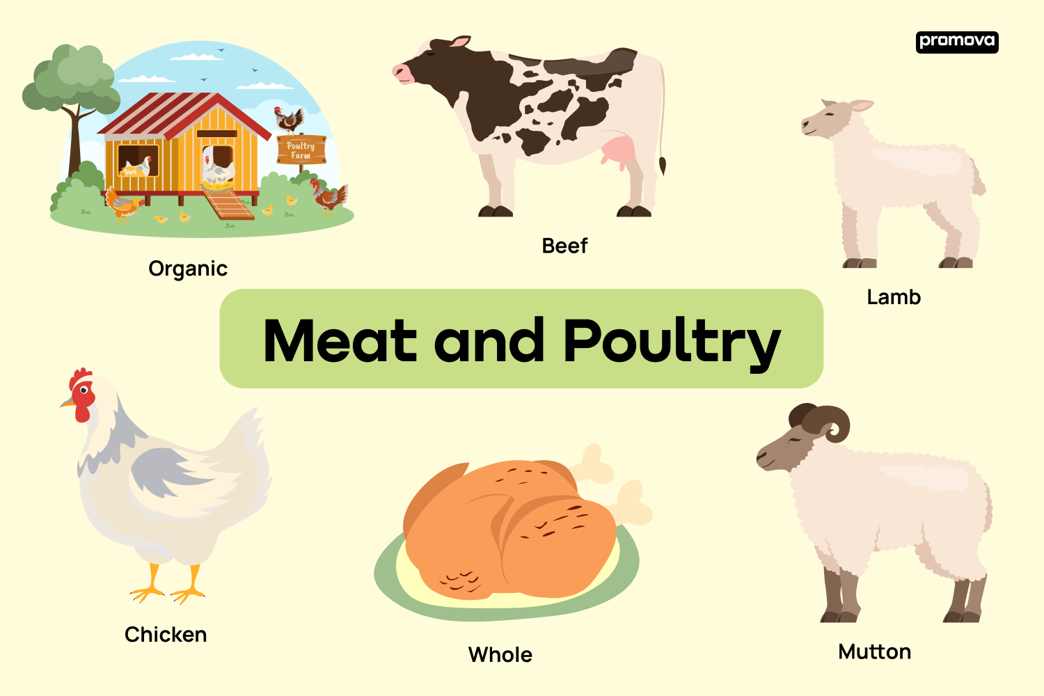 Meat and Poultry Terminology: A Comprehensive Guide for Language Learners