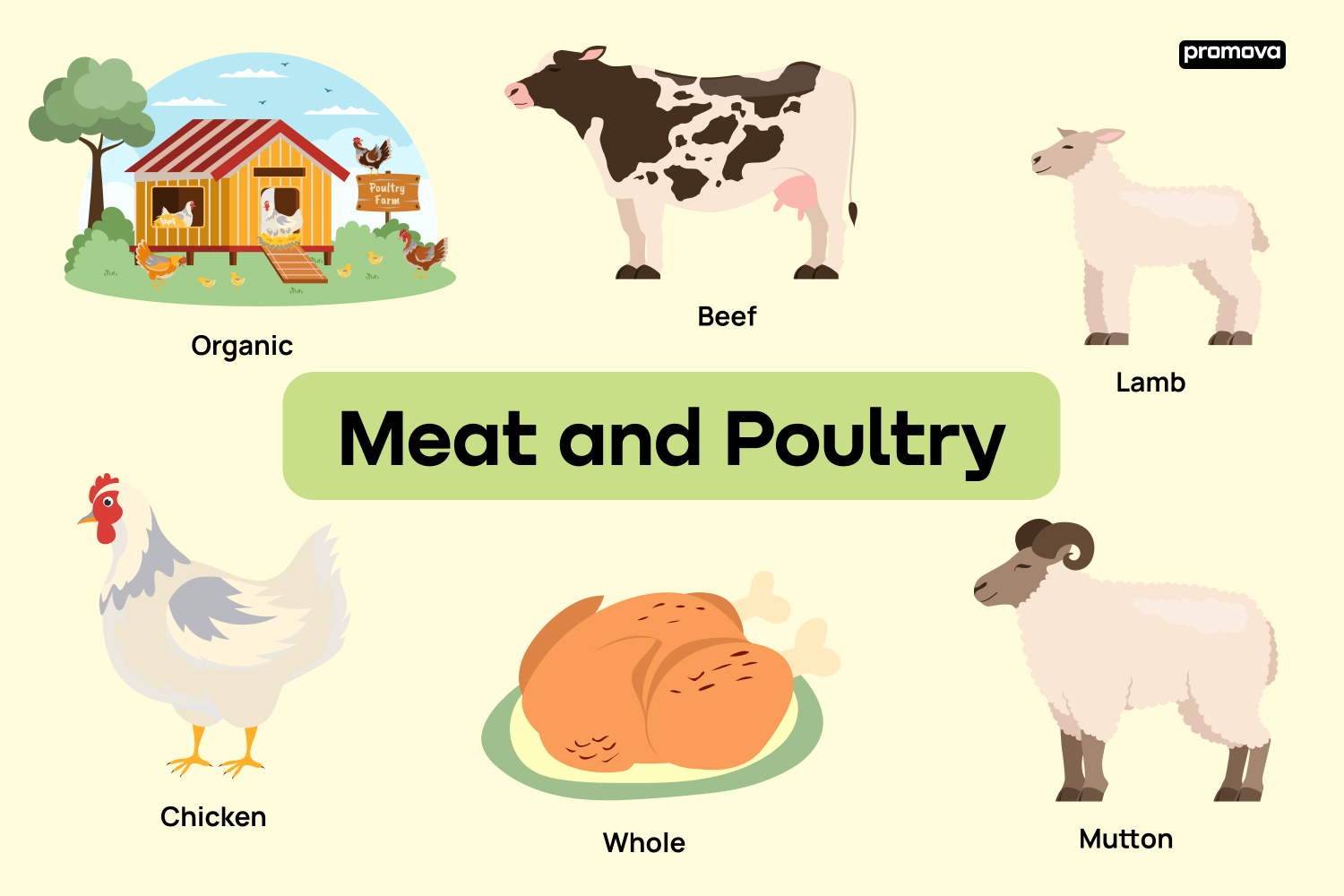 Meat And Poultry English Vocabulary