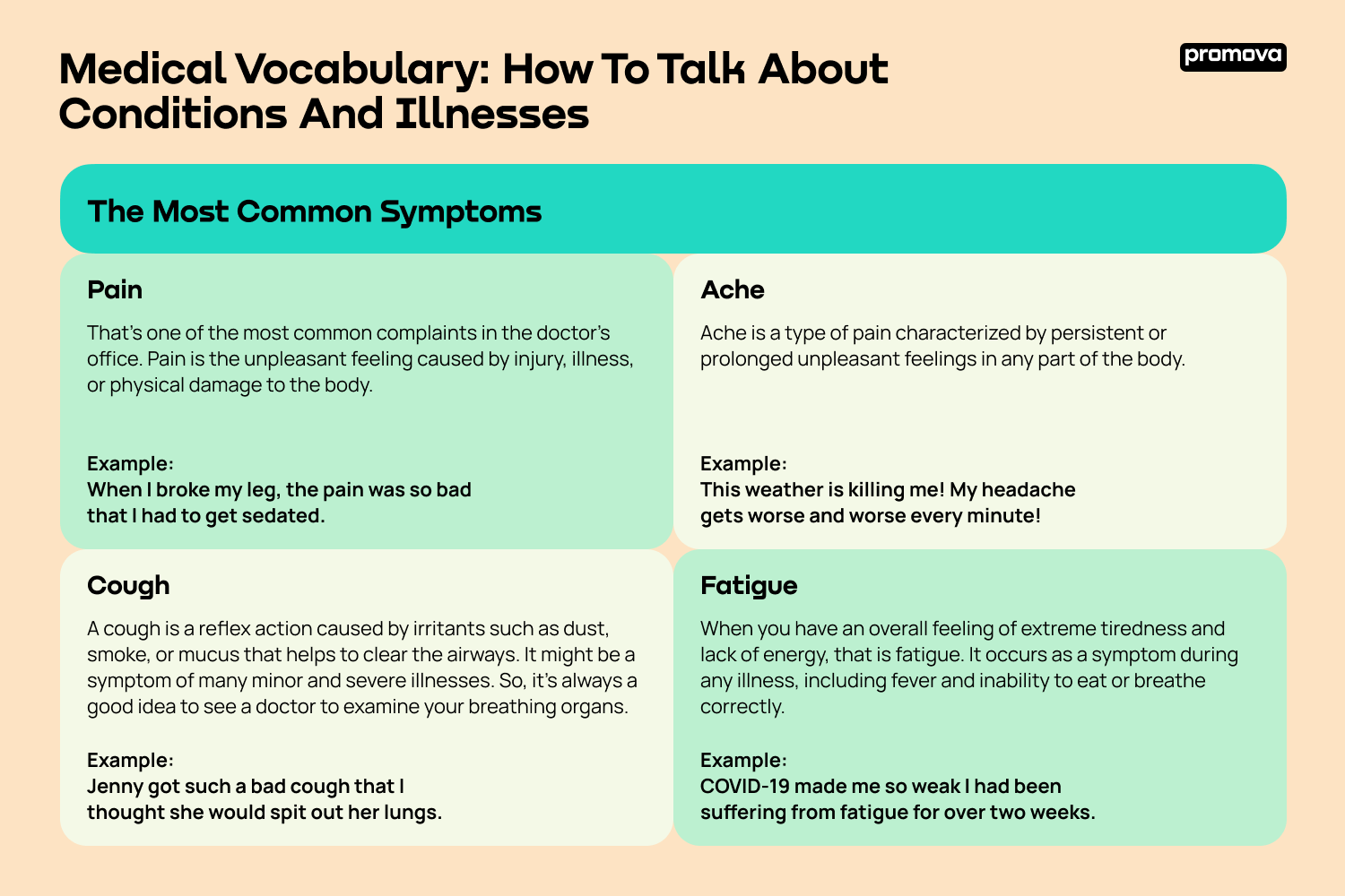 Medical Vocabulary