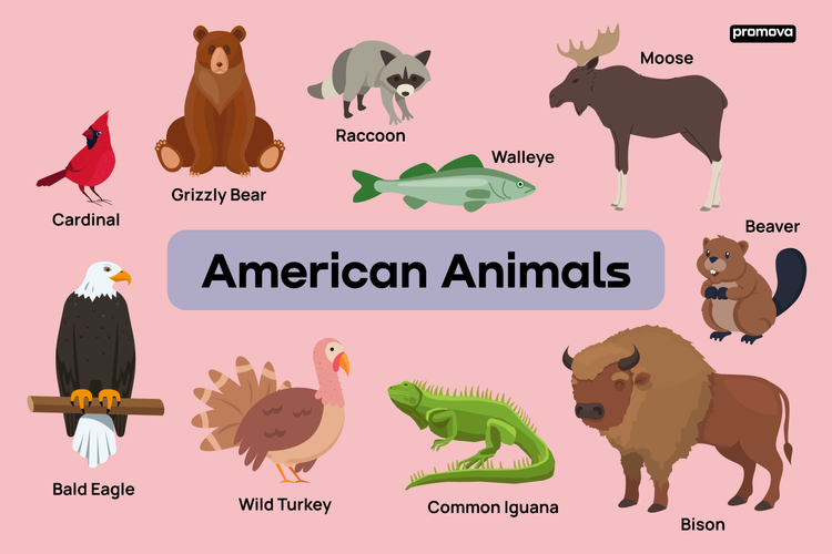 north american mammals list