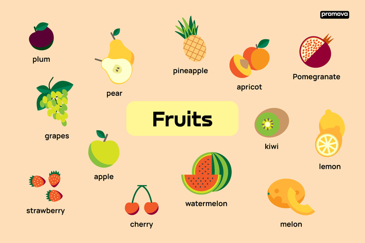 Exploring the Spectrum of Fruits Vocabulary