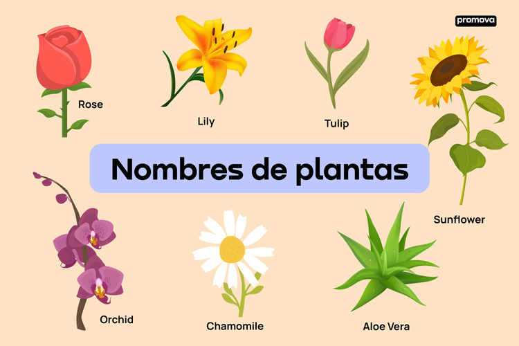 lista de nombres de plantas del desierto