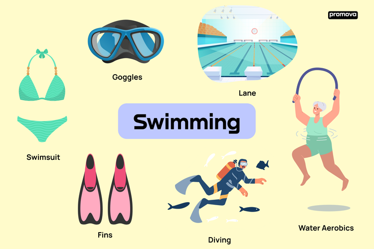 English Vocabulary For Swimming Styles And Equipment