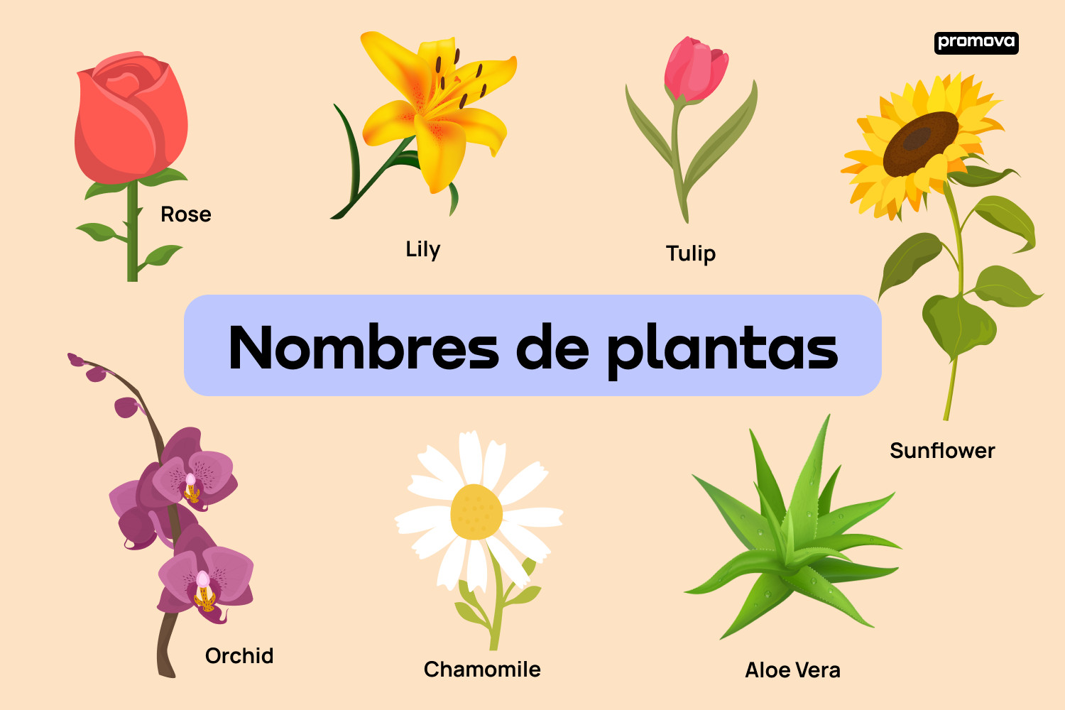 variedades de tipos de flores moradas