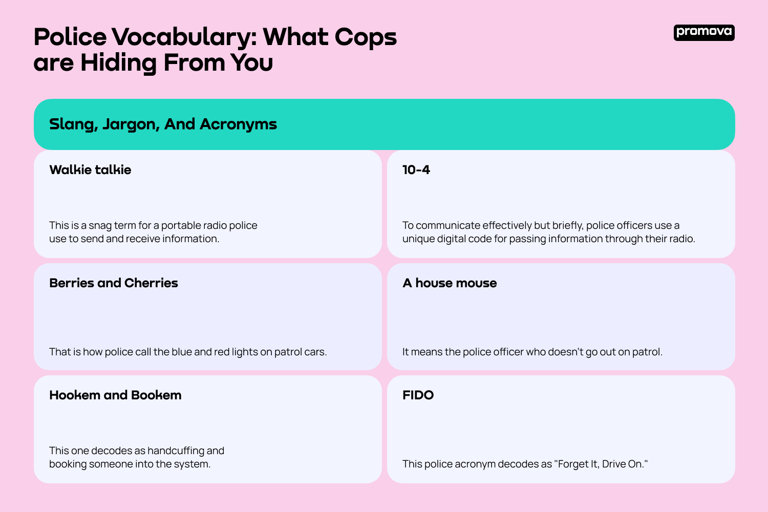 Police Vocabulary