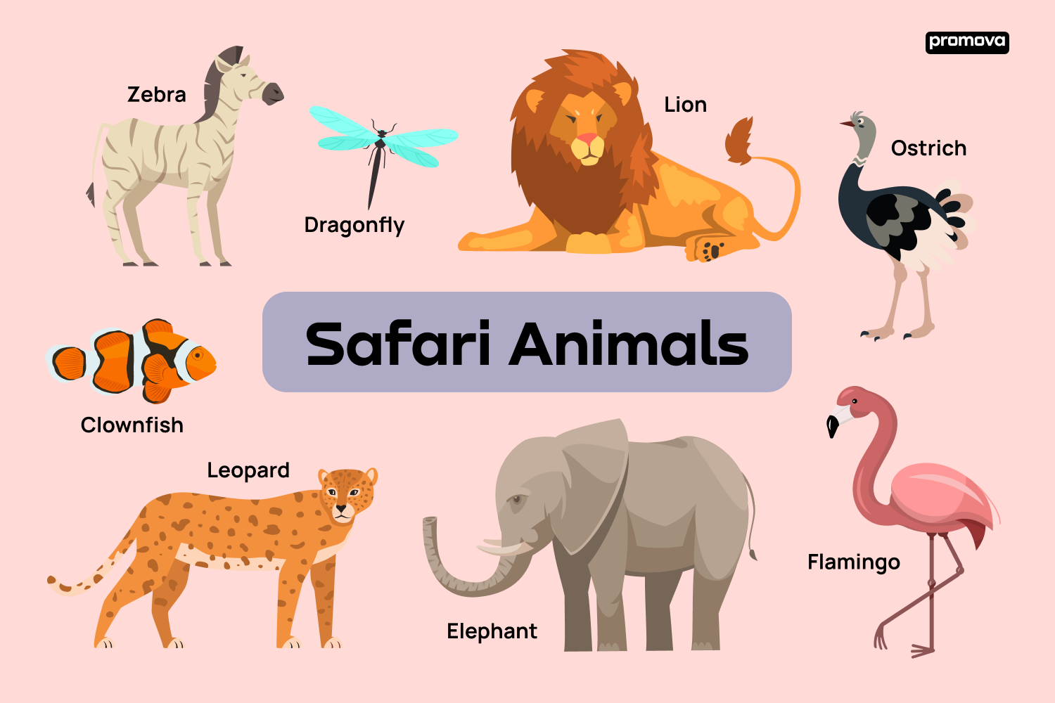 Learning Jungle Animals - Jungle Animals Names and Sounds 