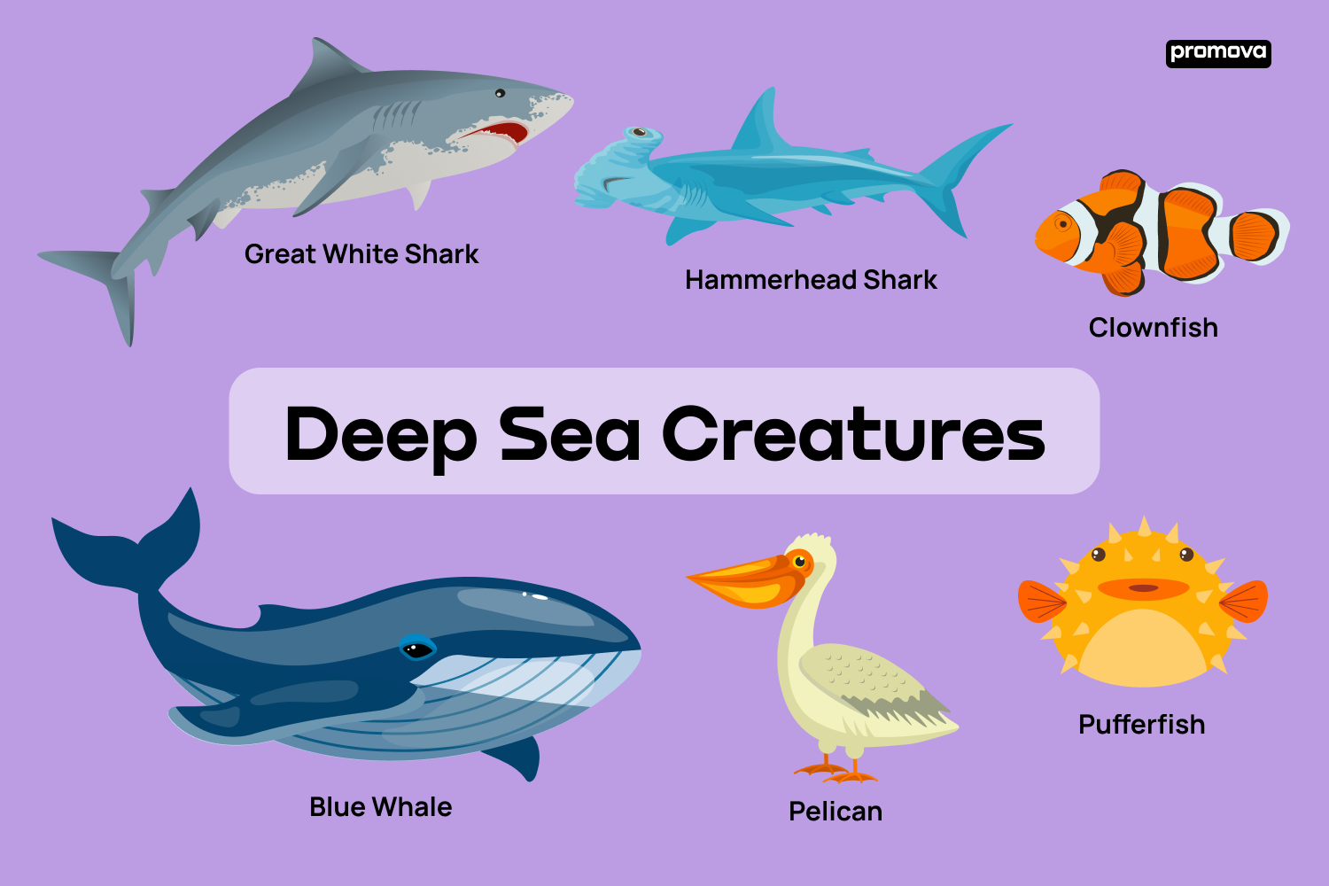 100+ Names Of Sea Animals And Ocean Creatures