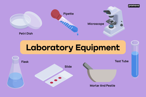 Common Laboratory Apparatus Uses - Learn Important Terms and Concepts