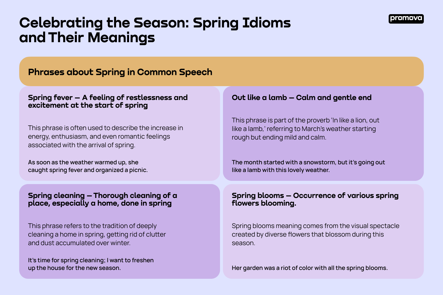 Celebrating the Season: Spring Idioms and Their Meanings