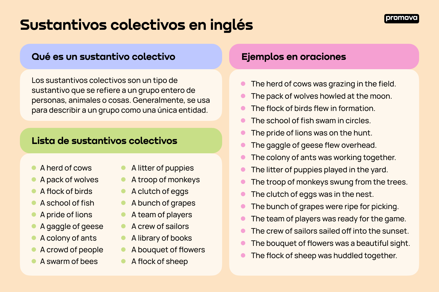 Explorando los sustantivos colectivos en inglés: Ejemplos clave