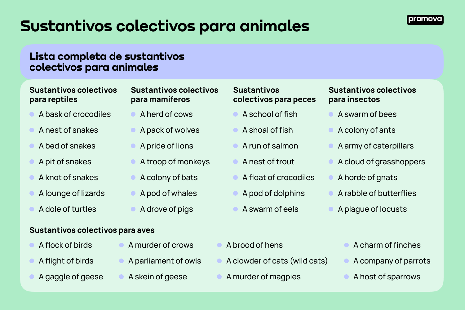 Descubre los sustantivos colectivos para animales en inglés