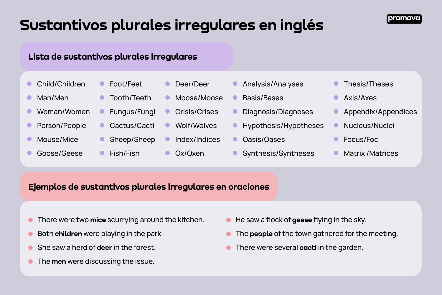 Descubre la lista de sustantivos plurales irregulares en inglés