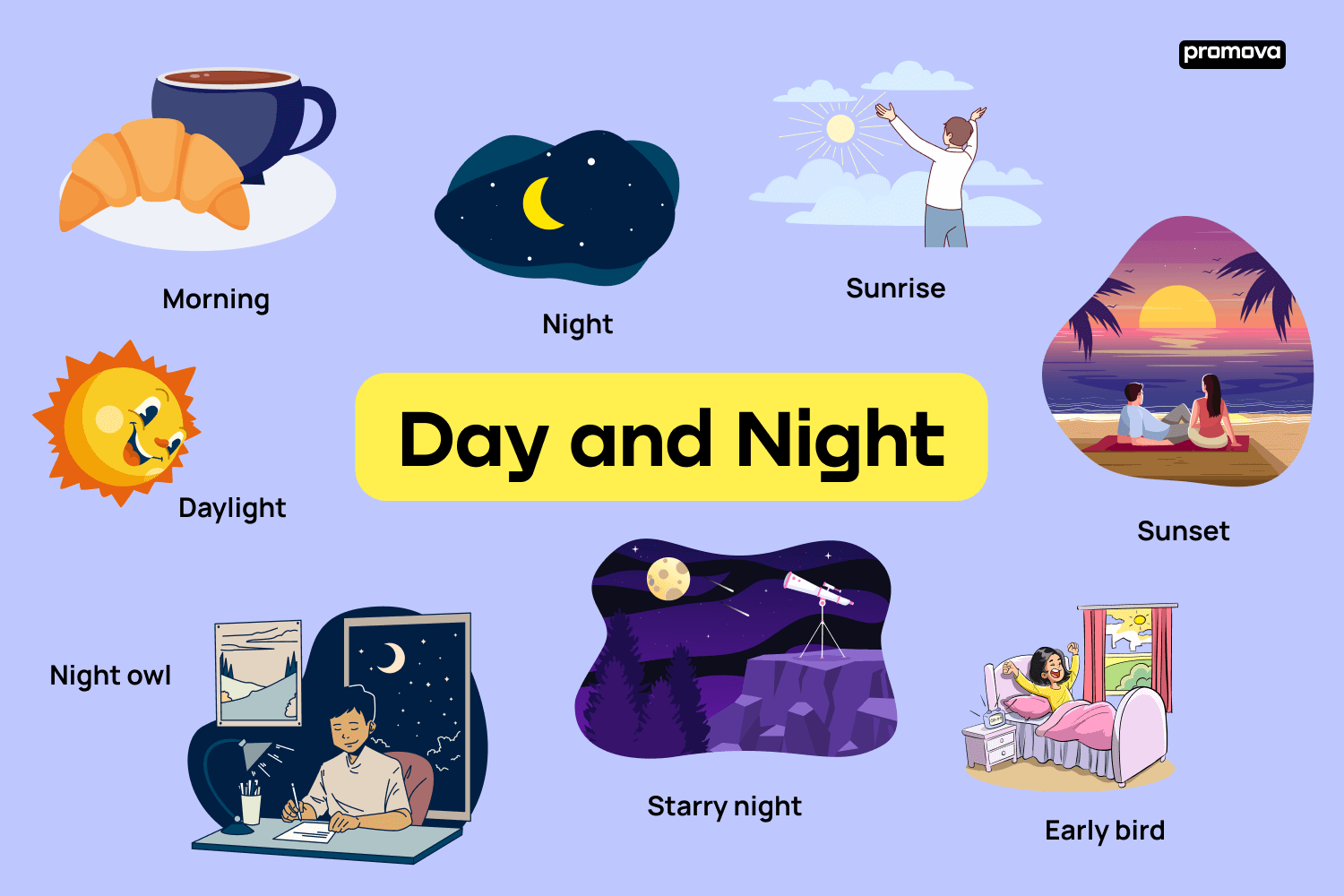 Intensive English Center - Idiom of the day: night owl You call someone a  night owl if they are always (or usually) up late. This is the opposite of  an early bird