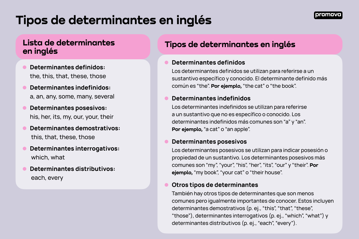 Descubre los tipos de determinantes en inglés: Una guía completa