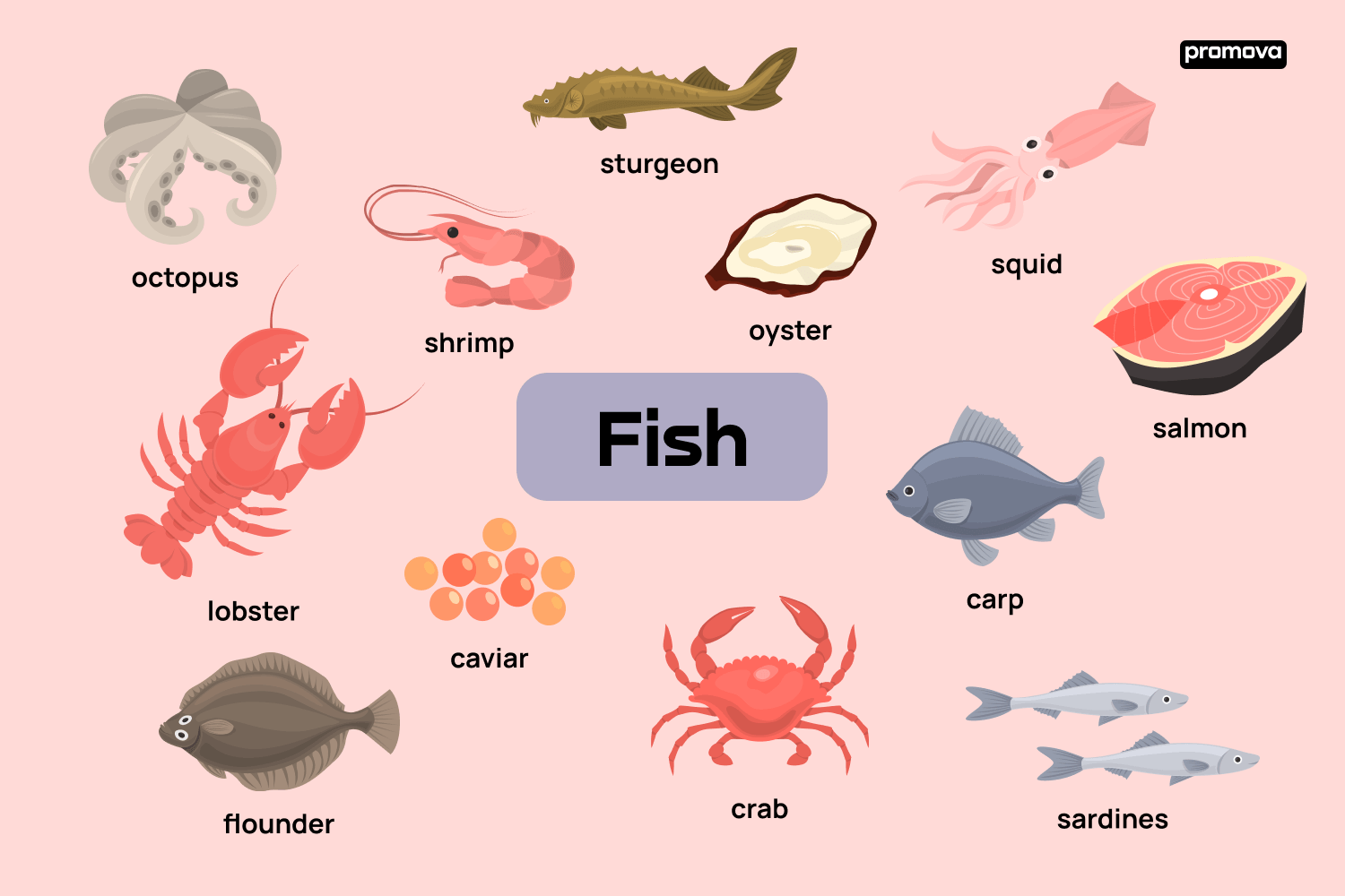 Fish Vocabulary: Những Từ Vựng Quan Trọng về Cá và Hoạt Động Câu Cá