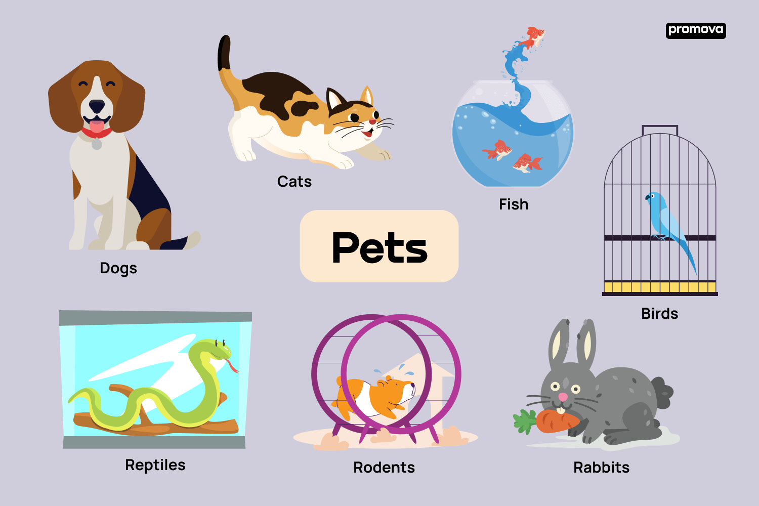 Types of sales pet animals