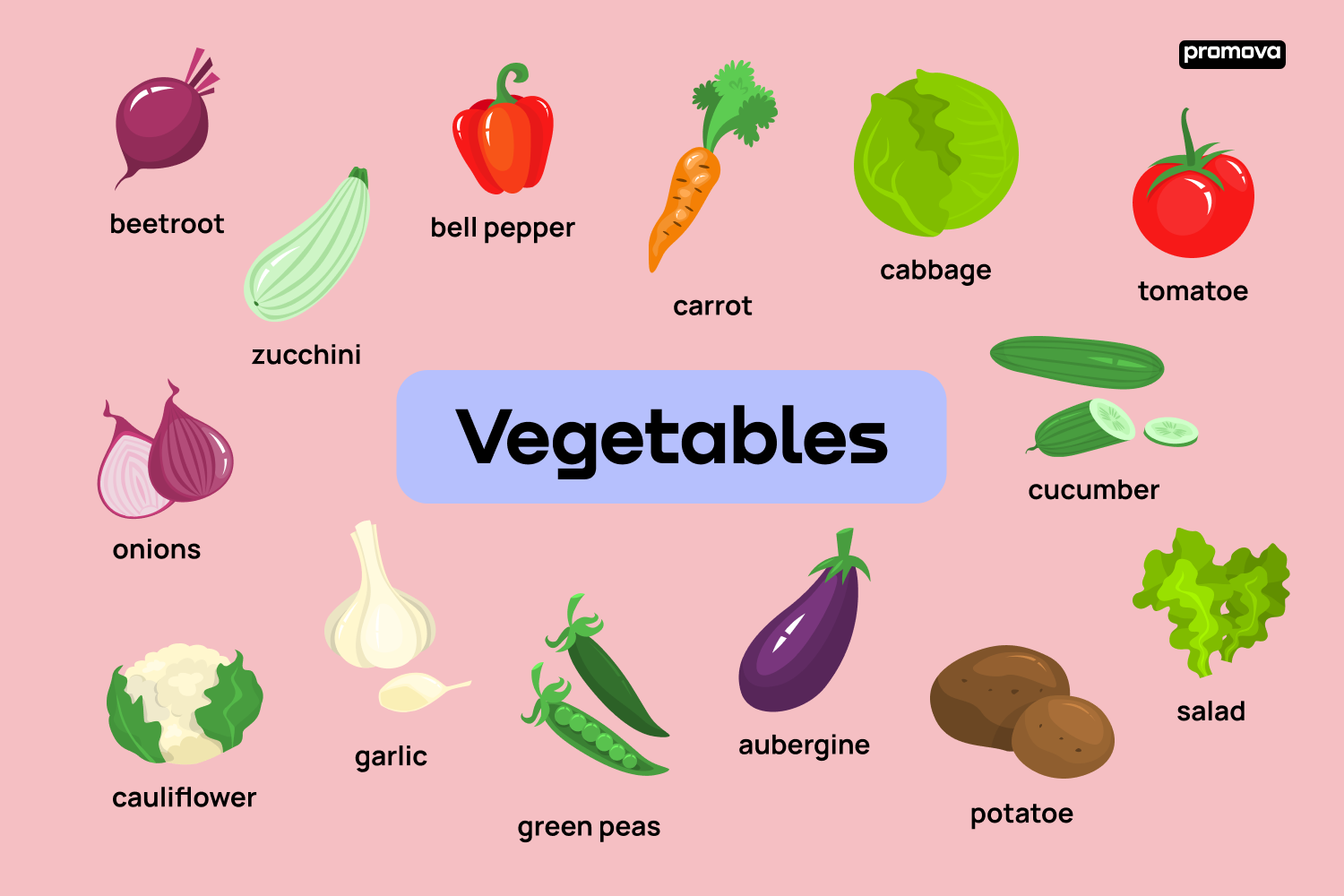Vegetables List 