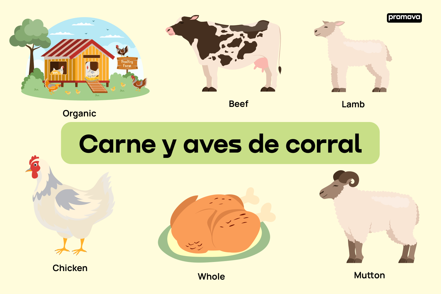 Descubre el Mundo de las Carnes y Aves en Inglés con esta Guía