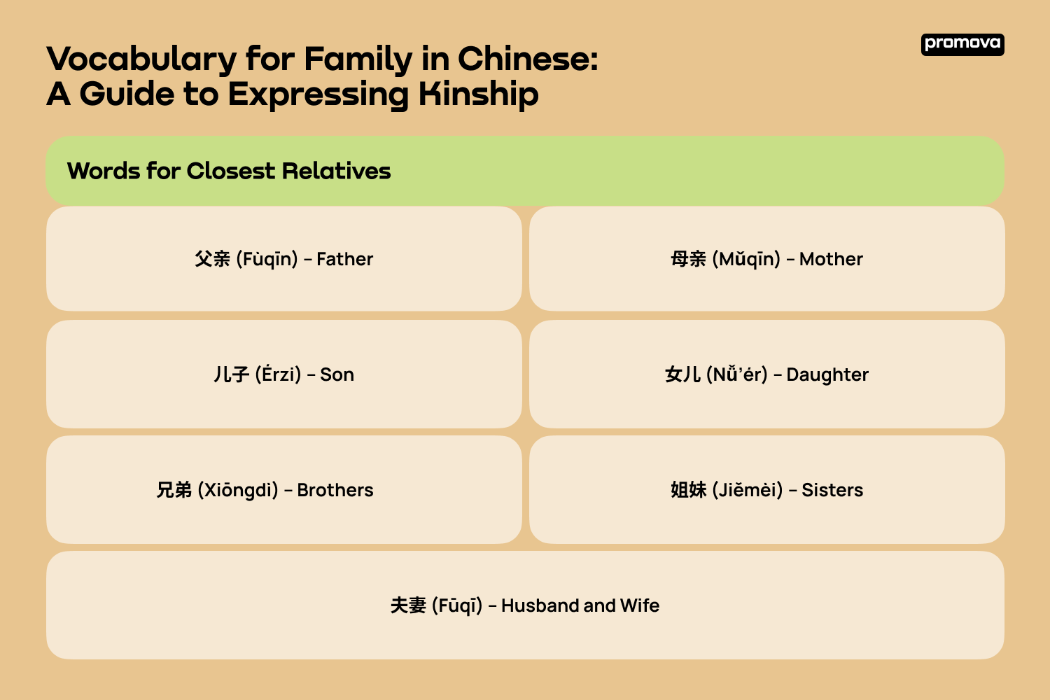 Vocabulary for Family in Chinese: A Guide to Expressing Kinship