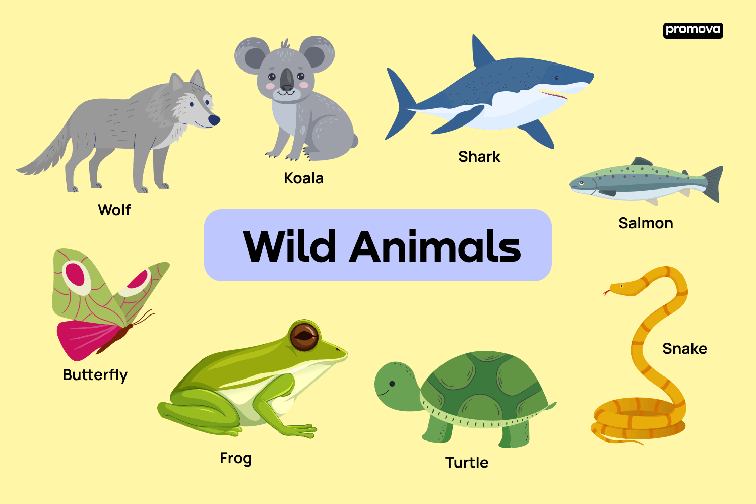 wild animals pictures and their names